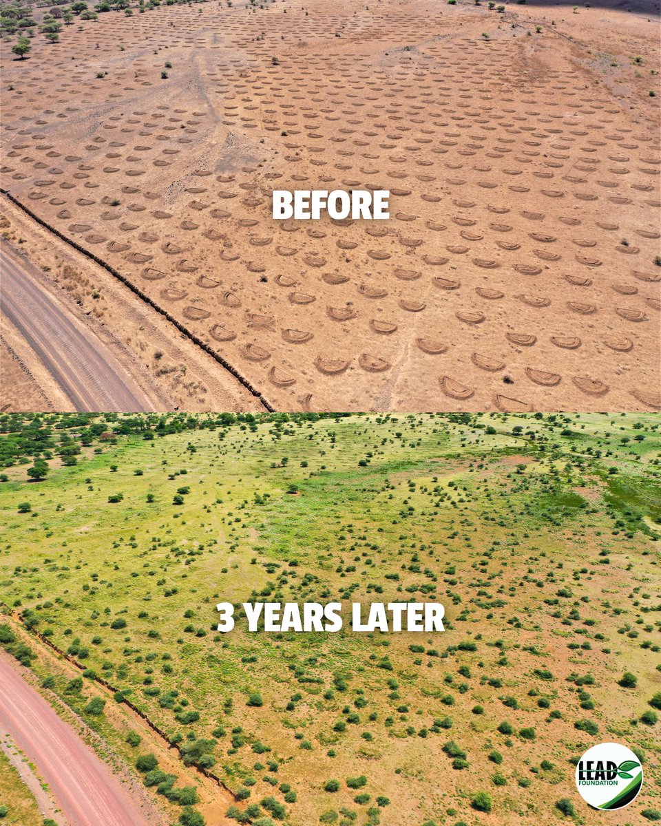 A breathtaking 3-year revival 🌱✨

From barren to blooming, the Earth smiles wide! Our #EarthSmiles not only brought back vibrant grass but also trees! 

They also work magic on the surface—capturing rainwater, slowing erosion, and protecting the rich soil that sustains life.