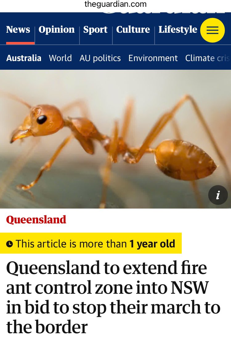 Mark Wong (@markklwong) on Twitter photo New letter <a href="/ConBiology/">Conservation Biology</a>, on the problematic misrepresentation of #invasive species in the mass media with images of unrelated organisms, e.g.: invasive fire ants misportrayed by images of weaver ants in <a href="/guardian/">The Guardian</a> & <a href="/Telegraph/">The Telegraph</a>. #Conservation #Ecology
conbio.onlinelibrary.wiley.com/doi/full/10.11… New letter <a href="/ConBiology/">Conservation Biology</a>, on the problematic misrepresentation of #invasive species in the mass media with images of unrelated organisms, e.g.: invasive fire ants misportrayed by images of weaver ants in <a href="/guardian/">The Guardian</a> & <a href="/Telegraph/">The Telegraph</a>. #Conservation #Ecology
conbio.onlinelibrary.wiley.com/doi/full/10.11…