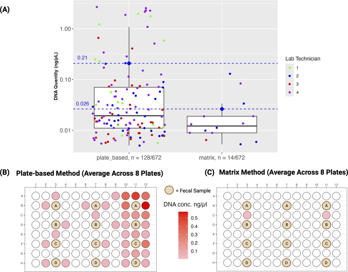 Akos T. Kovacs (@evolvedbiofilm) on Twitter photo Clearing the plate: a strategic approach to mitigate well-to-well contamination in large-scale microbiome studies
<a href="/mSystemsJ/">EIC Jack Gilbert</a> by <a href="/cbrenchy/">Caitriona Brennan</a> et al from <a href="/KnightLabNews/">Knight Lab</a>
with <a href="/Pdorrestein1/">Pieter Dorrestein</a>
journals.asm.org/doi/10.1128/ms… Clearing the plate: a strategic approach to mitigate well-to-well contamination in large-scale microbiome studies
<a href="/mSystemsJ/">EIC Jack Gilbert</a> by <a href="/cbrenchy/">Caitriona Brennan</a> et al from <a href="/KnightLabNews/">Knight Lab</a>
with <a href="/Pdorrestein1/">Pieter Dorrestein</a>
journals.asm.org/doi/10.1128/ms…