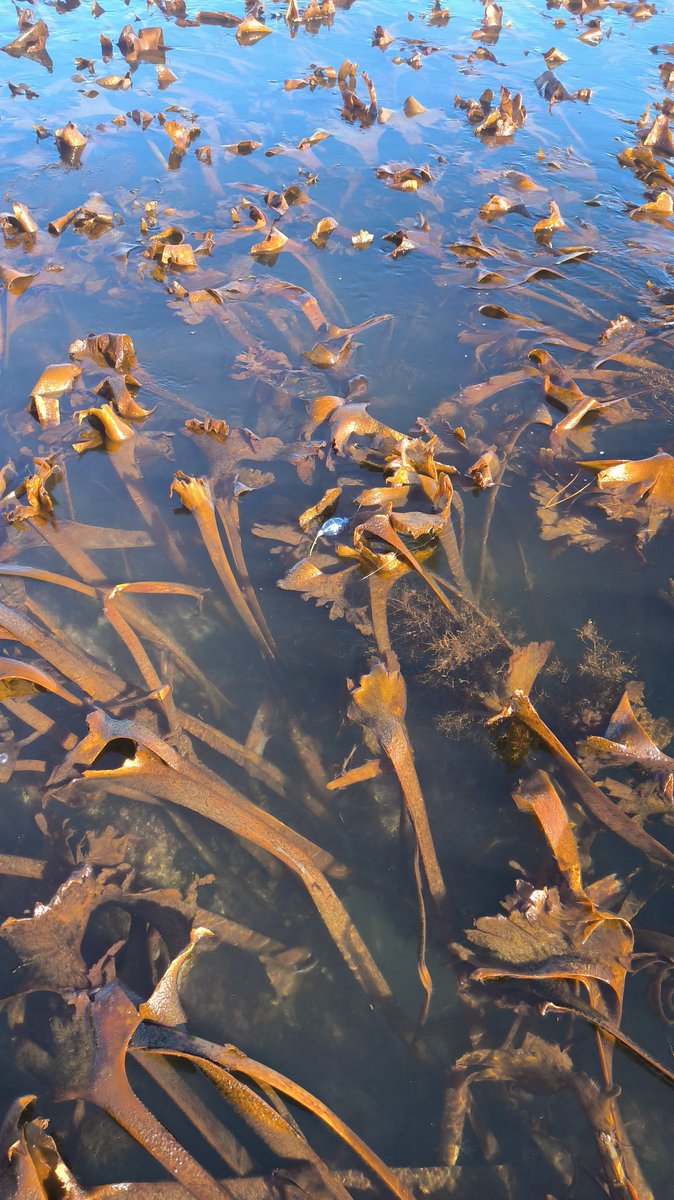 BIOINTERACT tweet media