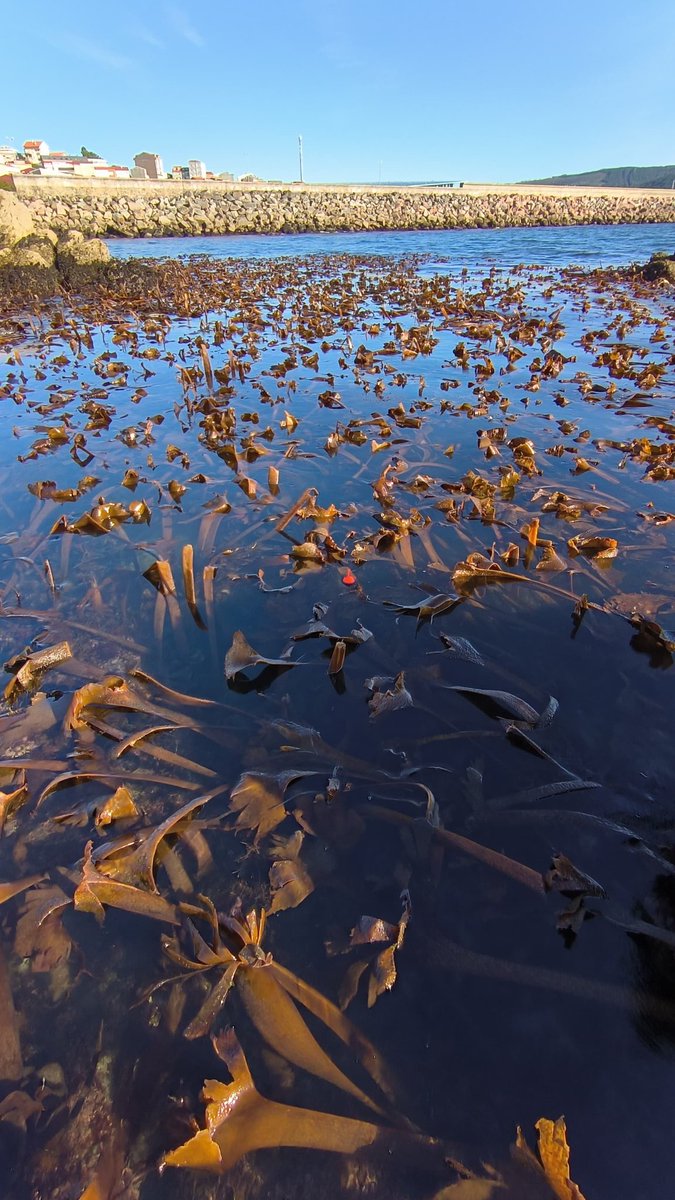 BIOINTERACT tweet media