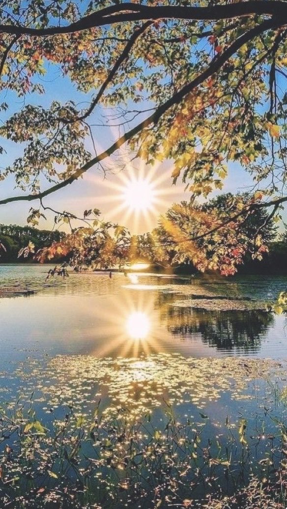 Good morning!
Have a beautiful day 🧡