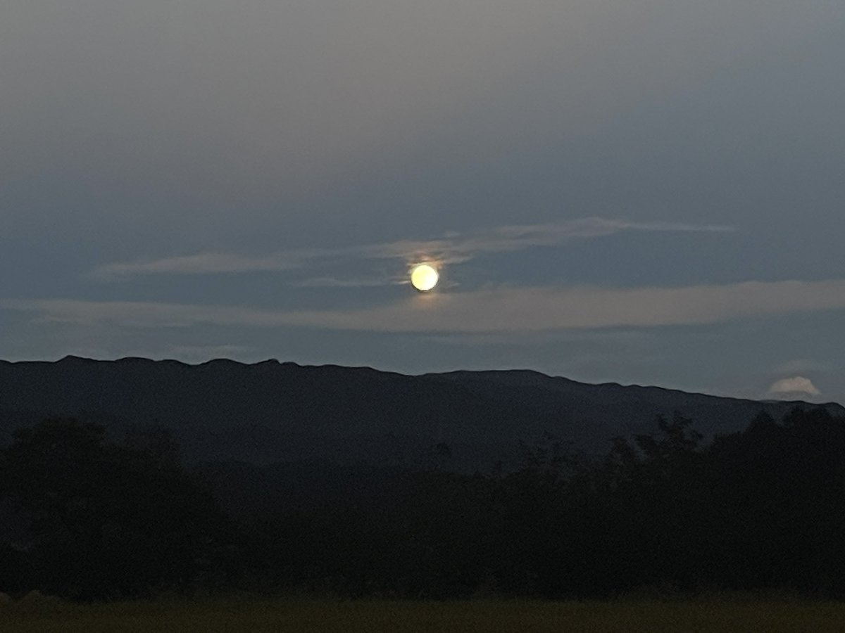 오랜만에 글 남깁니다. 다들 잘 계시죠? 탈덕은 아니고 개인적으로 몸도 마음도 힘든 일을 겪고 있어 예전 만큼은 이곳에 들어오지 못 했어요.  오늘 달이 참 예쁘더라구요🌕 항상 건강하시고 행복하세요 여러분🤍🍀✨ 저는 더 단단해져서 꼭 돌아오겠습니다!