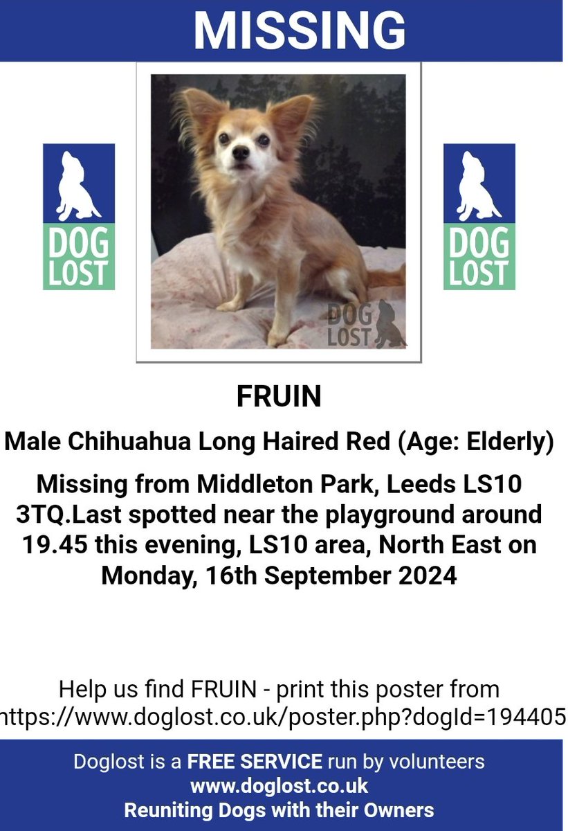 MissingPetsGB's tweet photo. 🐕🧨FRUIN, long haired Chihuahua lost in
Middleton Park #Leeds #LS10 eve of 16 September 2024 after some kids set off fireworks by the pond &amp; he ran off.
He's 13 &amp; very nervous, was wearing a black harness with a tag.
He is new to the area, so address on tag is incorrect https://t.co/bFRi1TsZOw