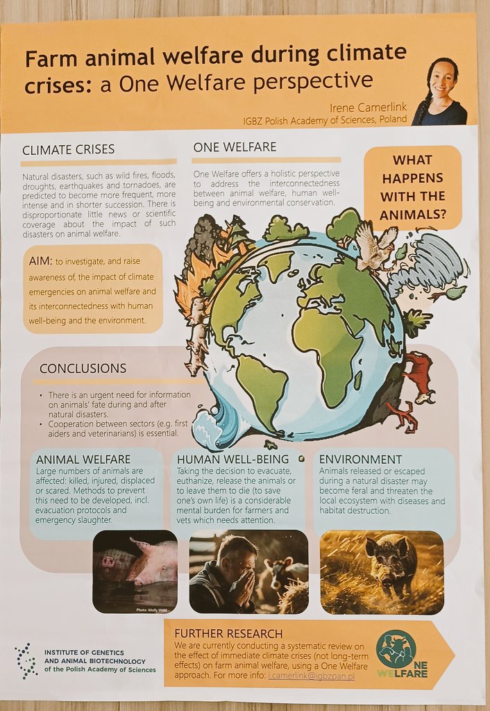 Only two weeks after the <a href="/wafl2024/">WAFL2024</a> conference and my poster seems too urgent to store away as 'done' conference poster. Looking for a motivated MSc student who wants to help speed up this review paper.