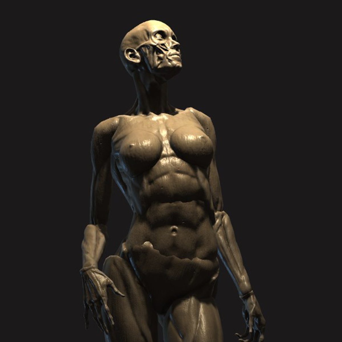 PoseIt_App's tweet image. Poseit 2.2 is out!
Please welcome the female ecroche, custom poses gallery, depth based picking, custom background and stability improvements!
There's a little glitch about the previews of old scenes but I didn't want to wait any longer. Just load and resave these scenes XD