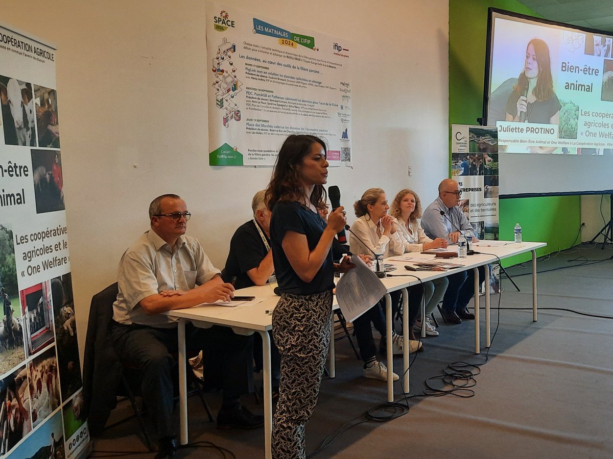 #SPACE2024
Ouverture de la conférence #BienEtreAnimal de <a href="/lacoopagricole/">La Coopération Agricole</a>  au <a href="/SPACERennes/">SPACE</a> , par @JulietteProtino qui accueille les intervenants et les participants pour cet après-midi d'échanges autour du thème : Investir dans le bien-être animal : coûts vs bénéfices.
#DevAgriLCA