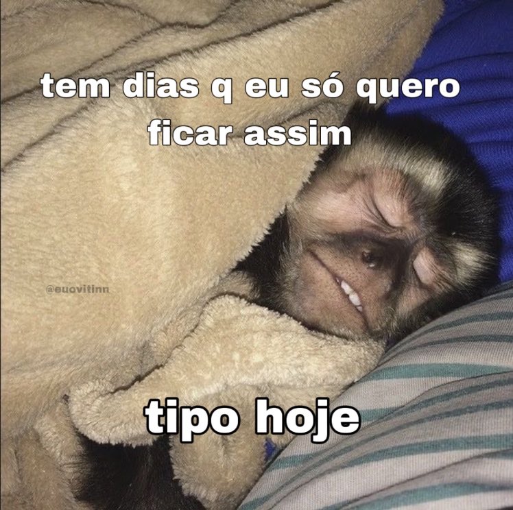 teu caos tweet media