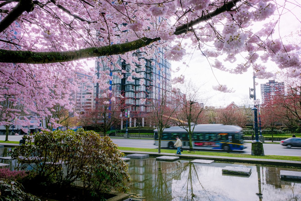 TransLink BC tweet media