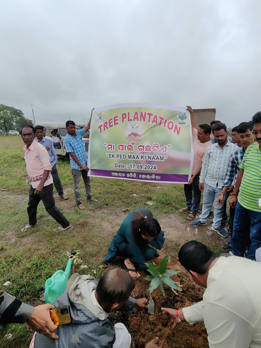 BKolabira's tweet photo. Ek ped maa ke naam program at kolabira block https://t.co/L5CdNlQ0oc