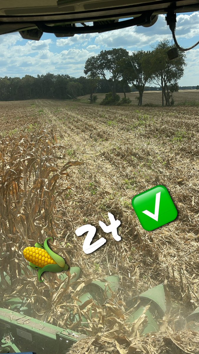 Found those last rows of #corn24 yesterday afternoon! #LongVueFarms #kyag365 #harvest24