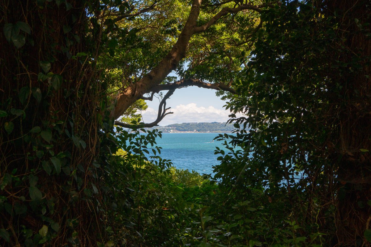 maru_se_'s tweet photo. 猿島🐒
#Nikon #Z6II
#nikoncreators
#nikoncamera
#写真好きな人と繋がりたい
#カメラ好きな人と繋がりたい
#ファインダー越しの私の世界
#私とニコンで見た世界
#キリトリセカイ
#nikonphotography
#photography #photo
#猿島
#横須賀 https://t.co/Tm6EJR6WZn