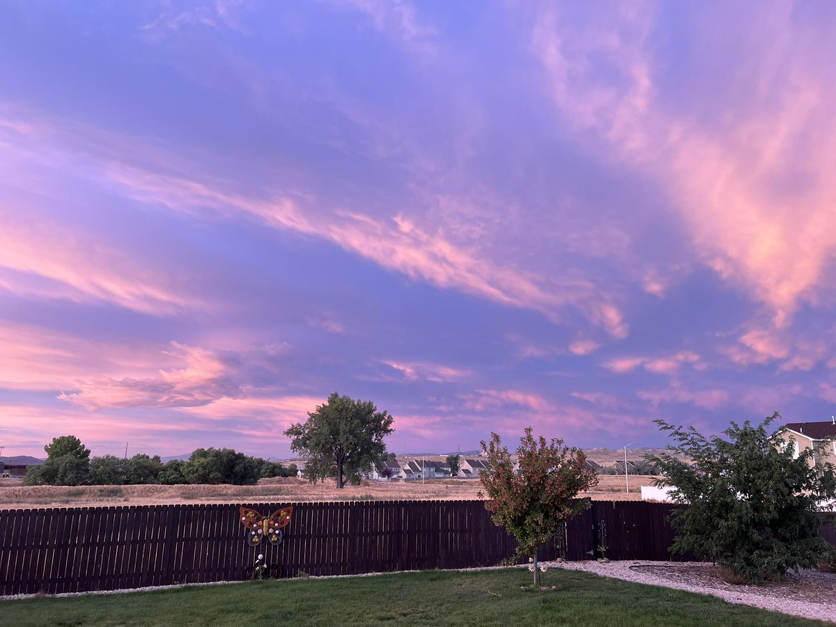 It’s a beautiful day in D-town! Don’t forget to look for the beauty in your world today.