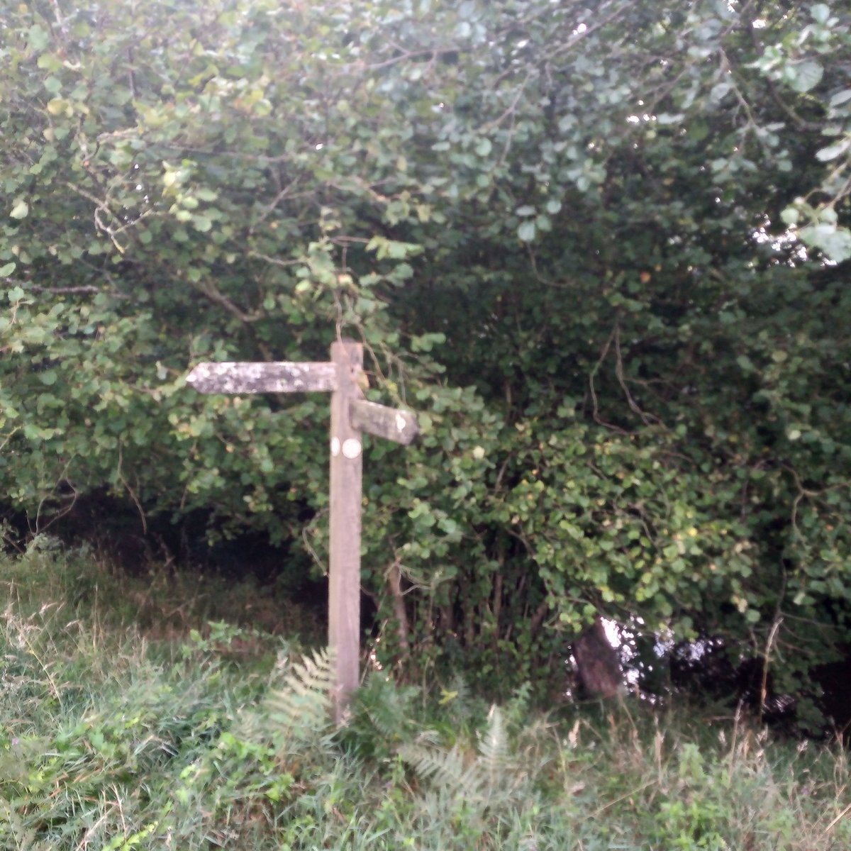 A great #slowway route NORCHA(one) between  North Tawton and Chagford.