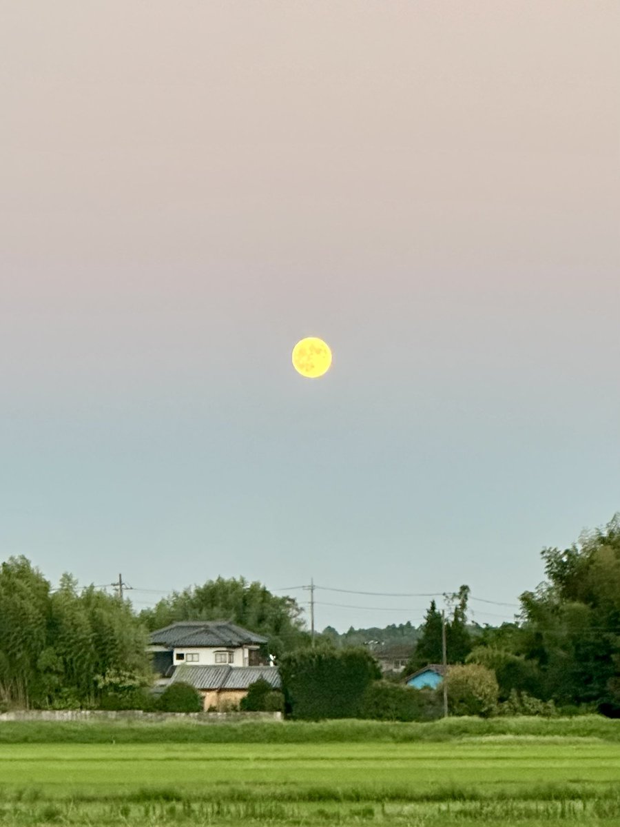 rinysadokara's tweet photo. 【中秋の名月🌾】
天真正伝香取神道流のお稽古へ
まん丸大きなお月様に癒されました🌕

#天真正伝香取神道流 https://t.co/E7XIn0Ut9E