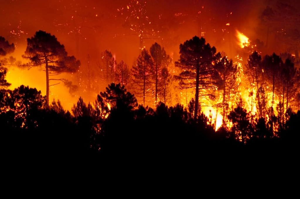 insoniascarvao's tweet photo. Ora então este é o suposto incêndio causado pelos lobbies dos fogos.
Há incêndios maiores na minha rua. https://t.co/27n3dIwr9W