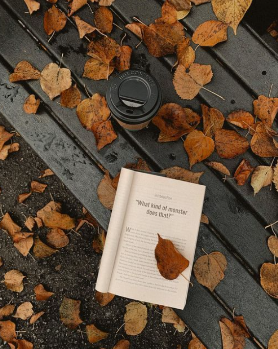 🍂🎃🍁 IT'S OFFICIALLY THE FIRST DAY OF AUTUMN 🍁🎃🍂