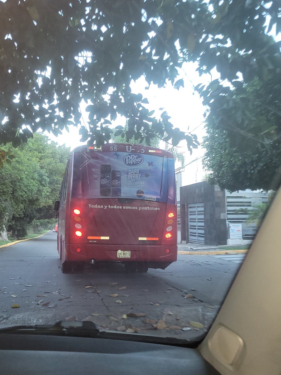 Ericn06's tweet photo. Par de tocinos haciendo nueva ruta en el fracc Rev. @Trafico_ZMG https://t.co/0Pe7CDvNXF