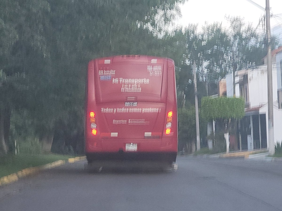 Ericn06's tweet photo. Par de tocinos haciendo nueva ruta en el fracc Rev. @Trafico_ZMG https://t.co/0Pe7CDvNXF