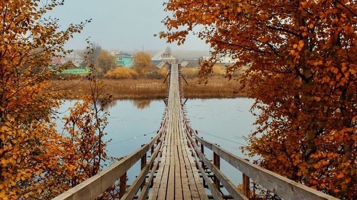 _greenaddicted_'s tweet photo. #fall #autumn #Autumnvibes 🍁🍂🎃 https://t.co/VJy2S61yqS