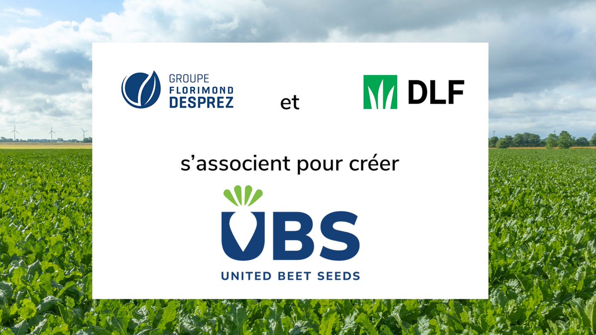🔴 Communiqué de presse

Le Groupe Florimond Desprez et <a href="/DLF_Seeds/">DLF</a> annoncent la signature d'un accord pour regrouper leurs activités de betteraves et chicorée. UBS est née ! 🤝

📰 Lire le communiqué de presse : fd-link.com/nyty
🌍 Découvrez UBS : unitedbeetseeds.com