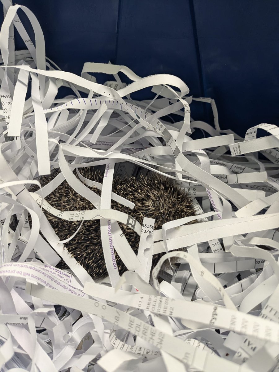 RSPCAStapeley Grange tweet media