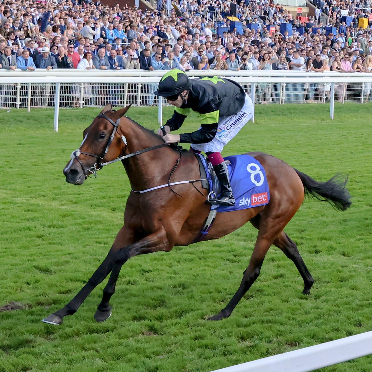 🇬🇧🇮🇪 BRITISH &amp; IRISH MELBOURNE CUP WEIGHTS 🇦🇺🏆

Magical Zoe 8st 4lb (52.5 kg)
Jan Brueghel 8st 7lb (54kg)
Illinois 8st 5lb (53kg)
Vauban 8st 10lb (55.5kg)
Point Lonsdale 8st 10lb (55.5kg)
Grosvenor Square 8st 3lb (52kg)
Arrest 8st 6lb (53.5kg)
The Euphrates 7st 11lb (50.5kg)