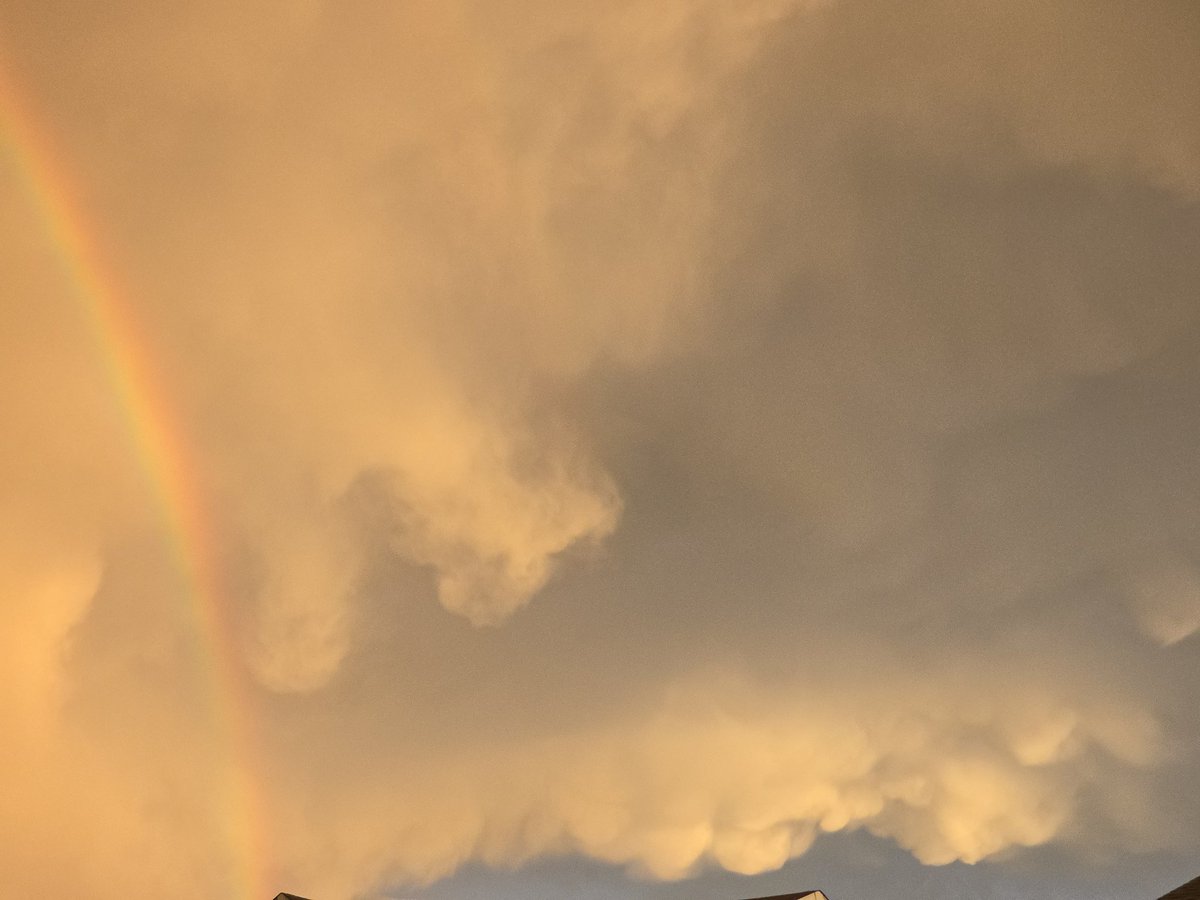 CycloneCowboys tweet media