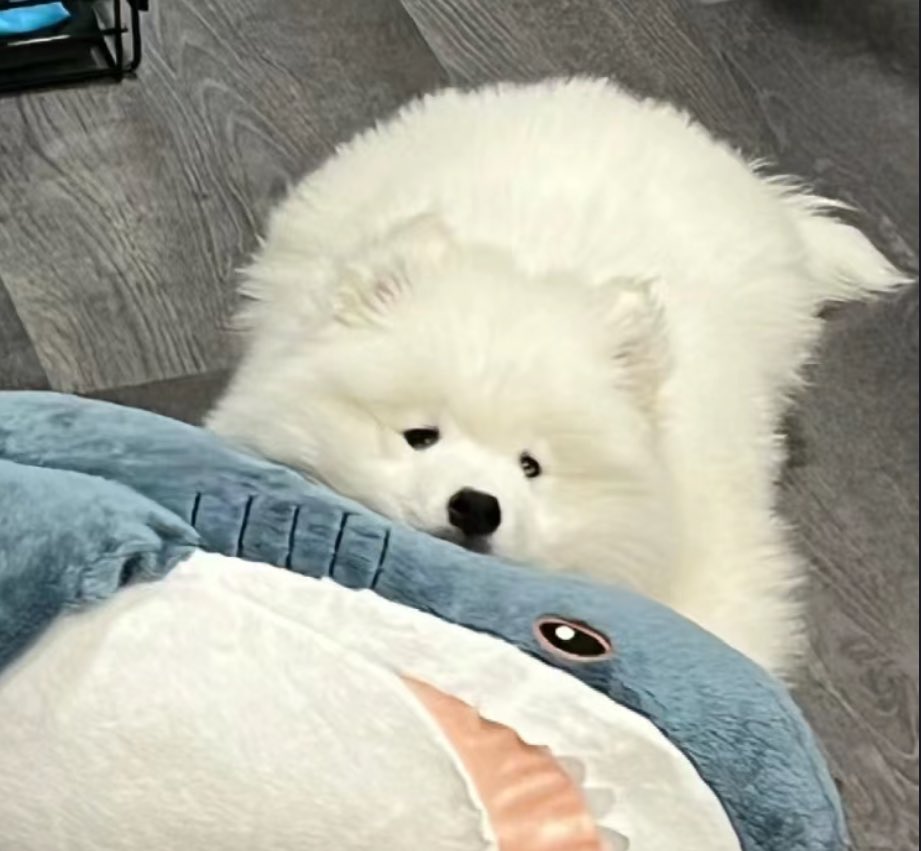 หอมหุวก่อนนอนไม่ด้าย รึไง