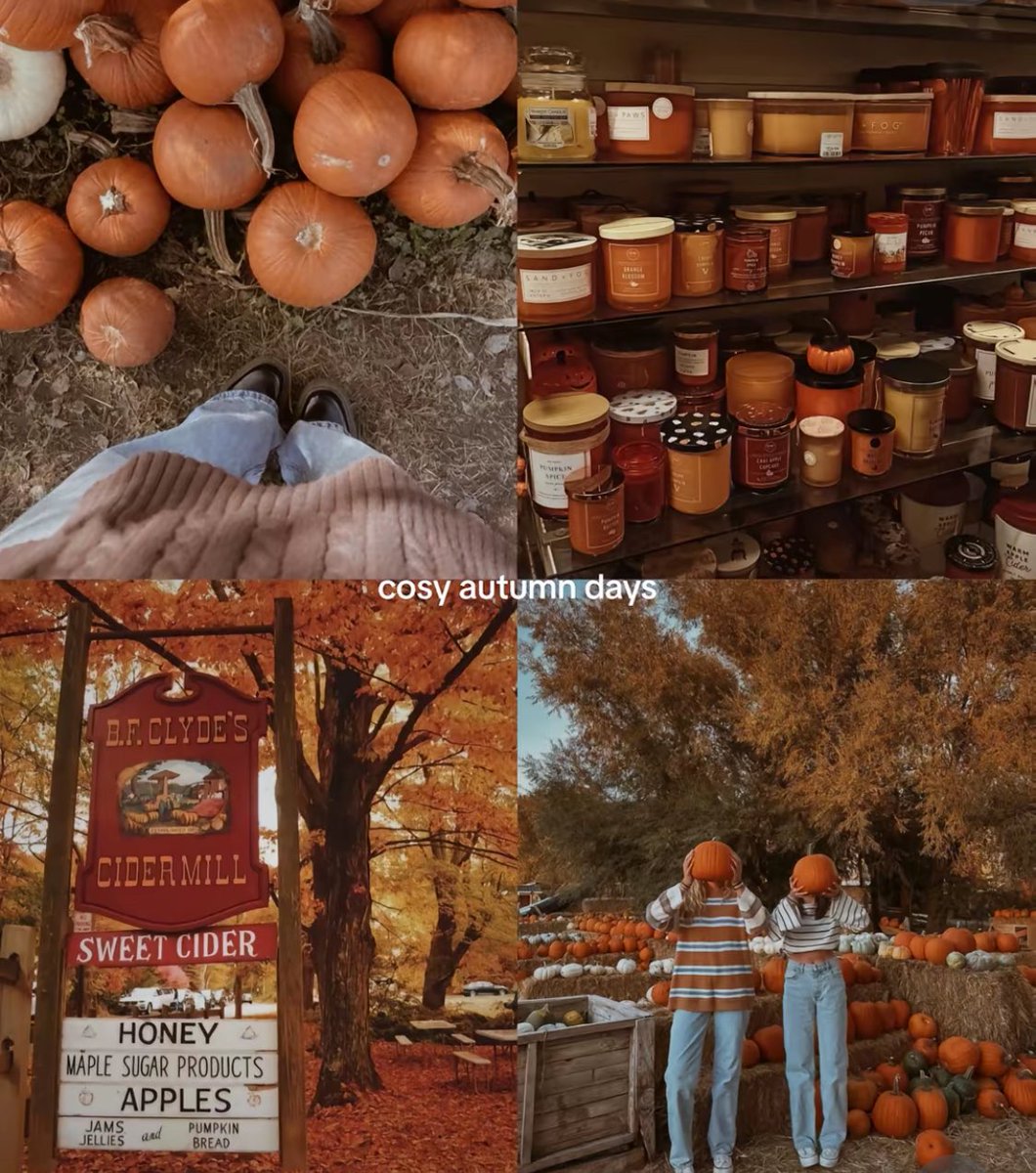 ⊹ ࣪ pam ˖✦ tweet media