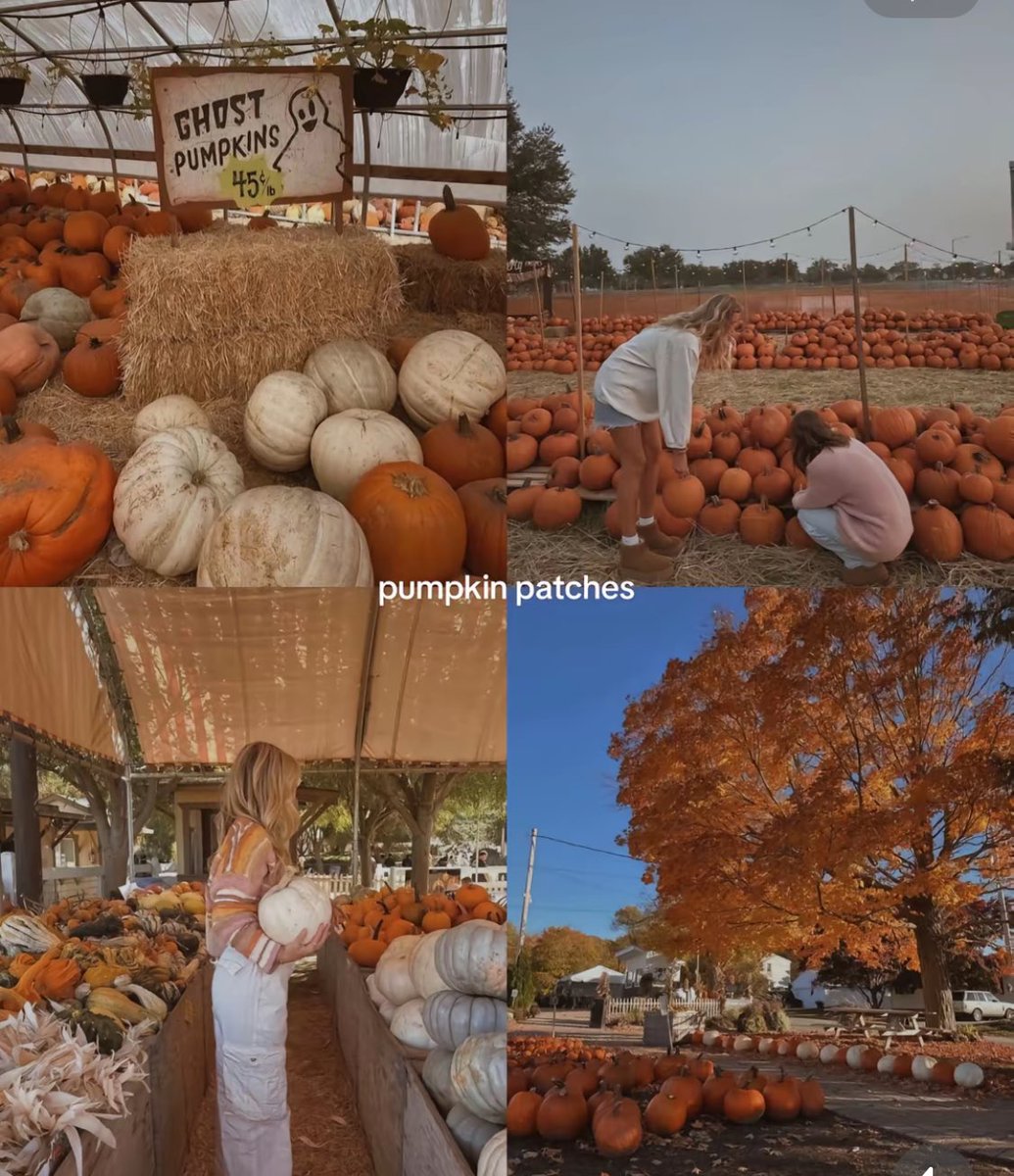 ⊹ ࣪ pam ˖✦ tweet media