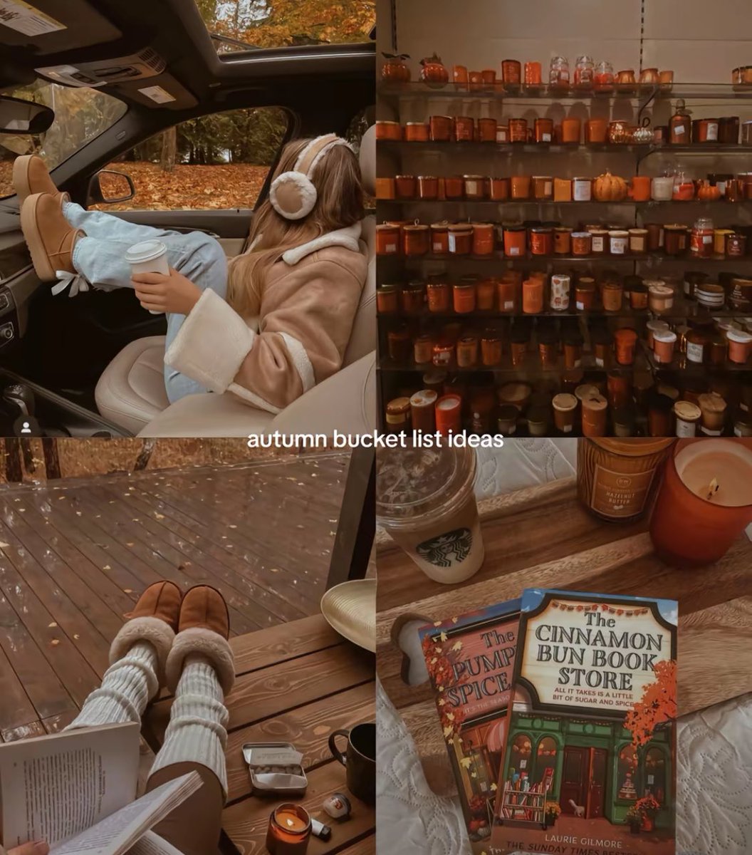 ⊹ ࣪ pam ˖✦ tweet media