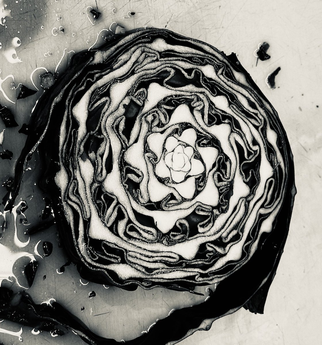 Architext tweet media