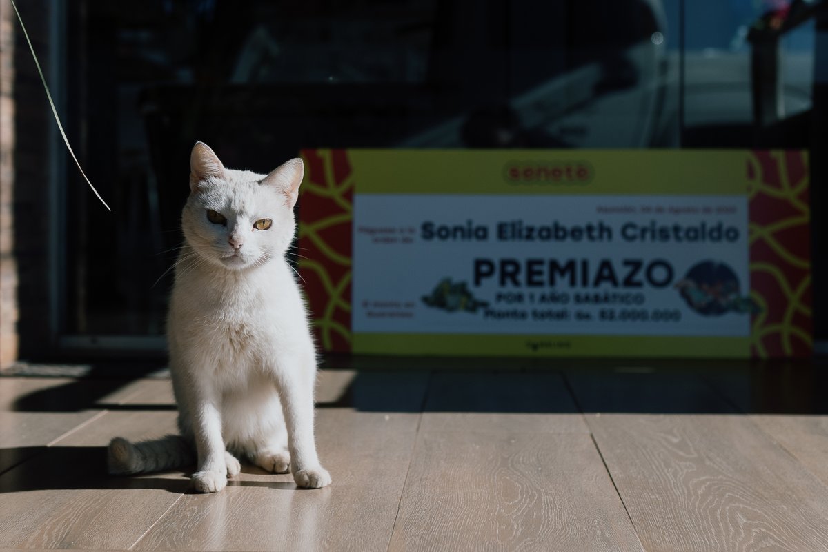 🤩 ¡Una nueva ganadora se suma a la familia #Seneté!

📌 Él es Sonia Elizabeth Cristaldo de la ciudad de Tobatí.

🤑 Se ganó un premiazo por año sabático por número de cartón en el sorteo del 04 de agosto.

😉 ✨ ¿Y vos?, qué esperás para probar tu suerte