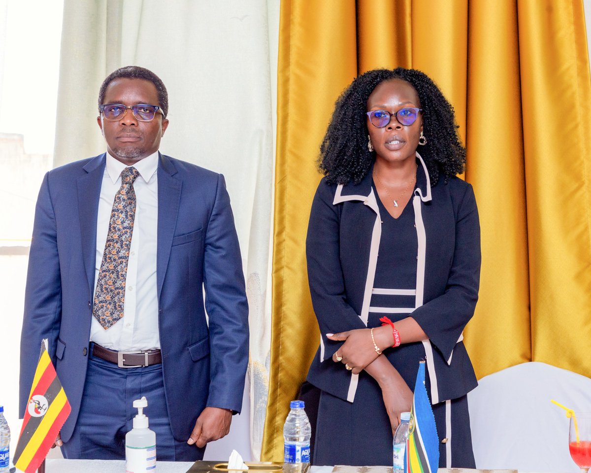 Evelyn AnitE tweet media