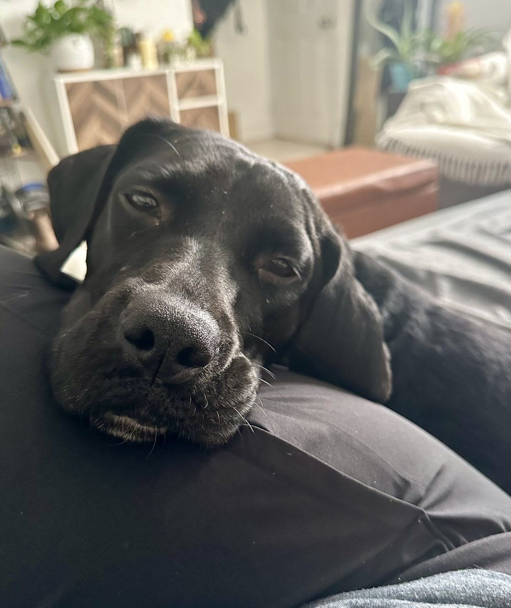 GM from not Singapore