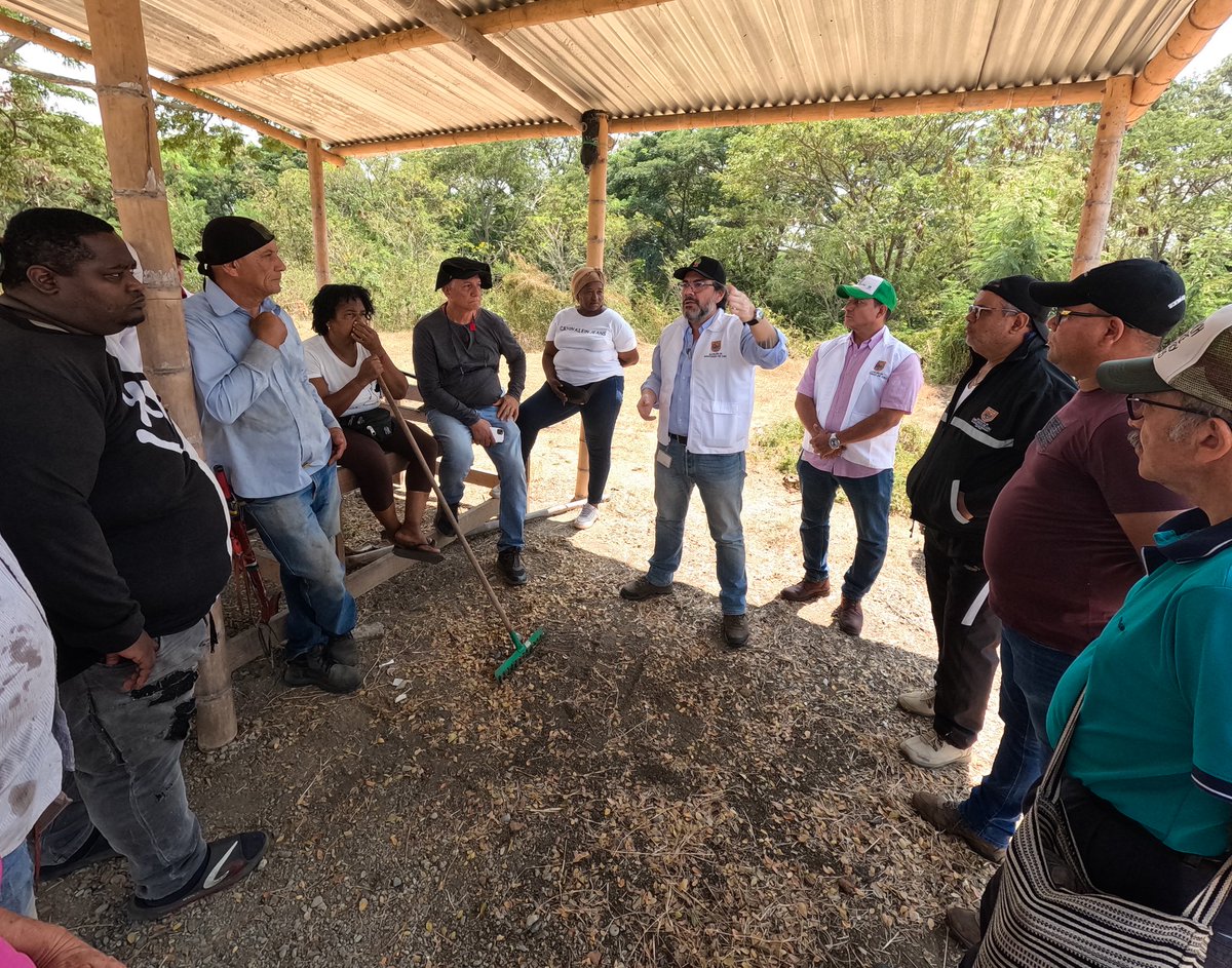 Plan Jarillón de Cali tweet media