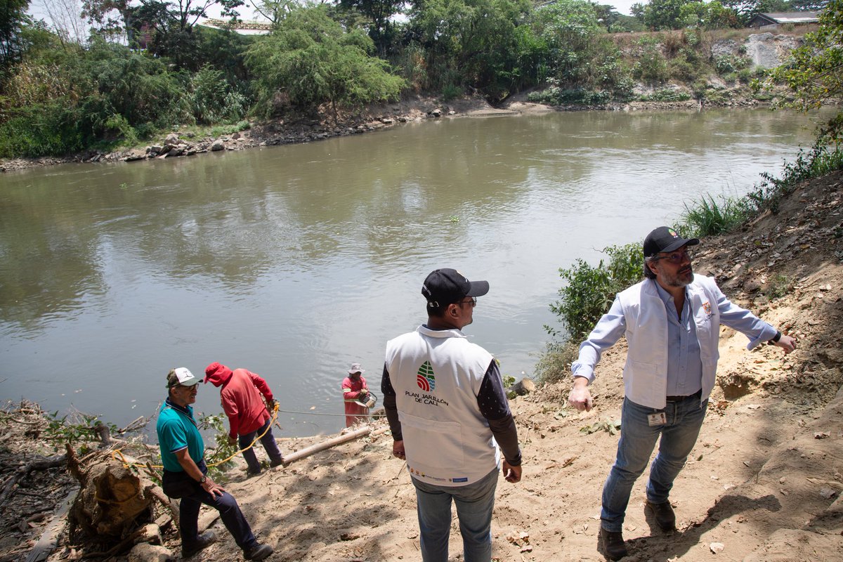 Plan Jarillón de Cali tweet media