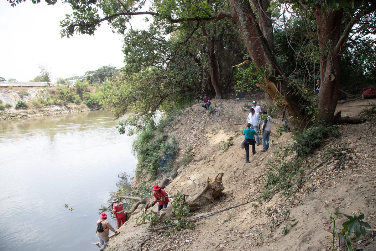 Plan Jarillón de Cali tweet media