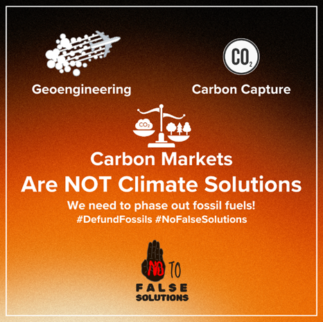 patyedema's tweet photo. Carbon markets are not climate finance. They allow polluters to keep polluting while claiming 'offsets' somewhere else. We need real action on climate change. #NoCarbonMarkets #NoOffsets #ClimateJusticeNow #NoArticle6 https://t.co/fWhiBx6746