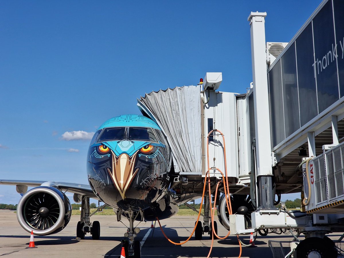 Luka Popovic tweet media