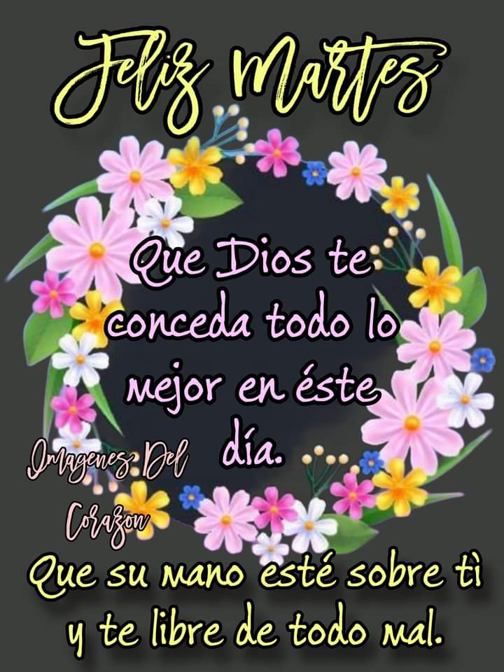 Bonito día