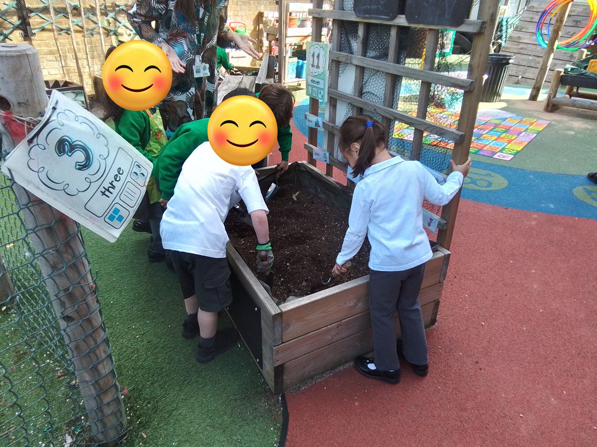 In Reception, we have been working in our Mini Allotment. We first learnt a rap all about weeds. Then , we went out searching for them. " No, no , weeds don't rule!" #eyfs #outdoorlearning