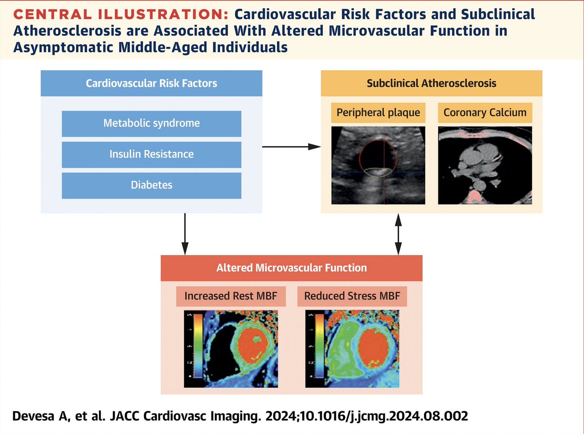 Fundación FIC (@fundacion_fic) on Twitter photo 🫀🔬Nuevos hallazgos confirman el deterioro microvascular ante la presencia de factores de riesgo en individuos asintomáticos. Resultados del estudio #PESA publicado en <a href="/JACCJournals/">JACC Journals</a> con participación de nuestro presidente <a href="/AFdezOrtiz24/">Antonio Fdez Ortiz</a>
📎shorturl.at/hl9Em #Cardiología 🫀🔬Nuevos hallazgos confirman el deterioro microvascular ante la presencia de factores de riesgo en individuos asintomáticos. Resultados del estudio #PESA publicado en <a href="/JACCJournals/">JACC Journals</a> con participación de nuestro presidente <a href="/AFdezOrtiz24/">Antonio Fdez Ortiz</a>
📎shorturl.at/hl9Em #Cardiología