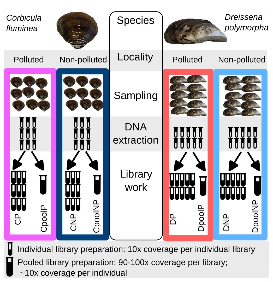 Dr. Alexandra Anh-Thu Weber (@aatweber) on Twitter photo Just published and #OpenAccess! Check our latest study led by RJ. Daniels on the relevance of pooling DNA before library preparation for epigenomics of natural populations. Great collaborative work with <a href="/MeyerBritta/">Britta Meyer🐦🐟🍫☕️</a> and many others
onlinelibrary.wiley.com/doi/10.1111/17… Just published and #OpenAccess! Check our latest study led by RJ. Daniels on the relevance of pooling DNA before library preparation for epigenomics of natural populations. Great collaborative work with <a href="/MeyerBritta/">Britta Meyer🐦🐟🍫☕️</a> and many others
onlinelibrary.wiley.com/doi/10.1111/17…