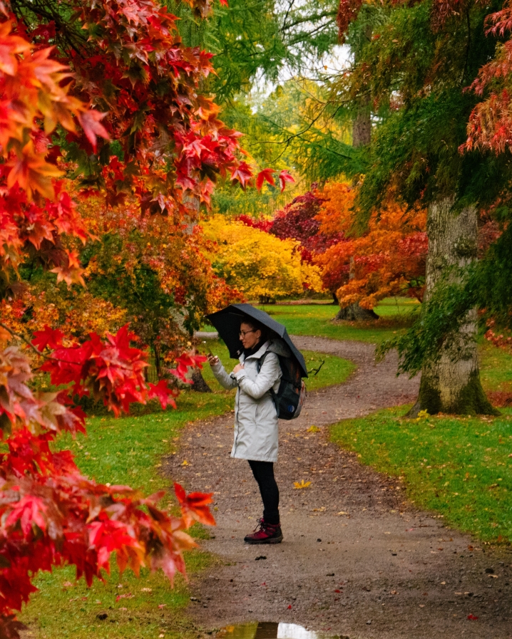 In & Beyond Bath tweet media