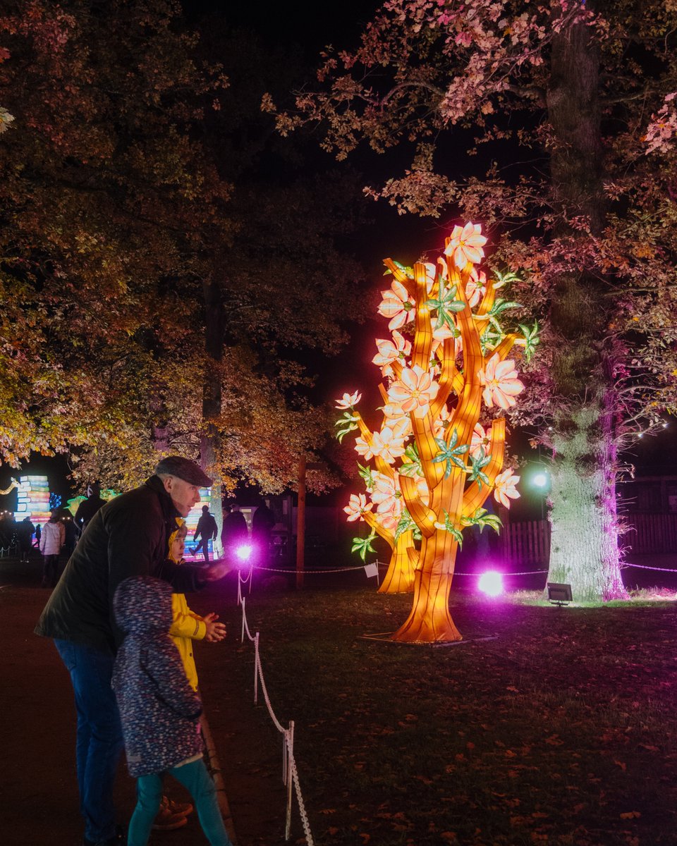 In & Beyond Bath tweet media