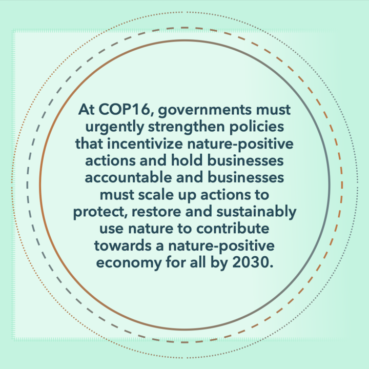 Are businesses and governments turning the tide on #NatureLoss? 🌱

Businesses and governments have a historic role and responsibility to reverse nature loss through the implementation of the #BiodiversityPlan.

Here’s how they’re progressing. 👇