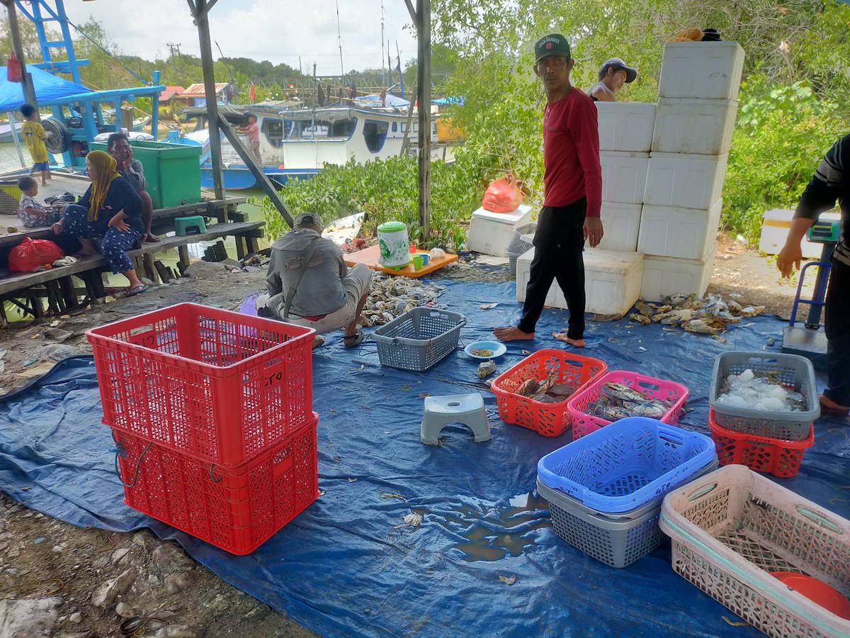 lasriyantoplh's tweet photo. Rabu(11/09/2024) Lasriyanto,S.Pi
Pendampingan di KUB Citra Nelayan, Di Desa Pagatan Besar, Kec. Takisung , Panin Kepiting Rajungan Tangkapan Nelayan  1350 kg, dengan Harga Rp 34000/Kg #GiatLuhkanSatminkalBwi #TnhLaut #Panen
@bppp_banyuwangi 
@puslatluhkp
@Luhlapor
@TuguDian https://t.co/MwEbhH6lbK