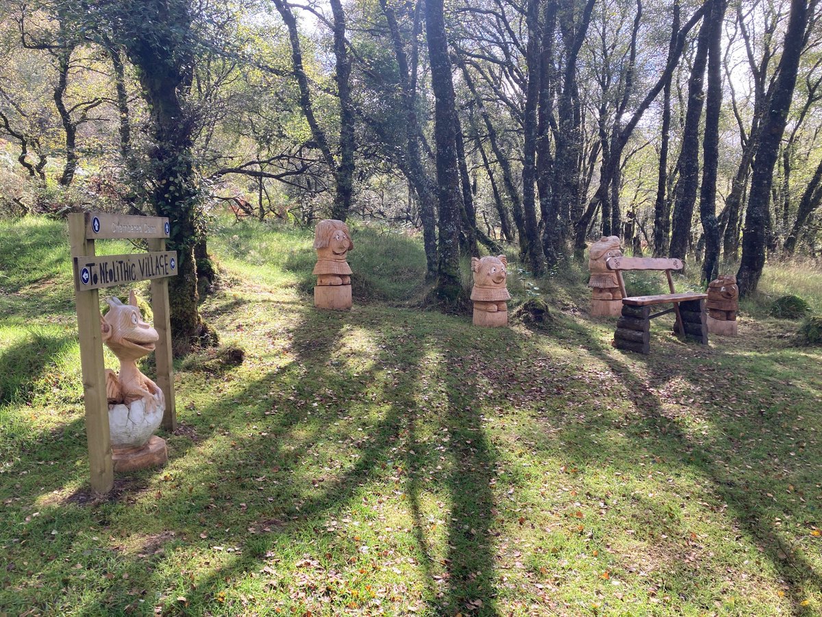 Stronafian Community Forest tweet media